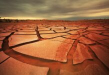 Cambio climático y sequías globales