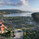 Vista aérea de una pradera marina mixta de Nanozostera noltei y Zostera marina en la Enseada do Baño, Mugardos, Ferrol. © Fernando García González. IEO, CSIC