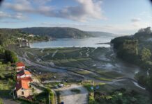 Vista aérea de una pradera marina mixta de Nanozostera noltei y Zostera marina en la Enseada do Baño, Mugardos, Ferrol. © Fernando García González. IEO, CSIC