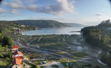Vista aérea de una pradera marina mixta de Nanozostera noltei y Zostera marina en la Enseada do Baño, Mugardos, Ferrol. © Fernando García González. IEO, CSIC