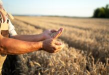 Agricultura sostenible en España