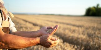 Agricultura sostenible en España