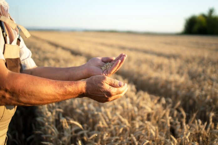 Agricultura sostenible en España Agricultura sostenible en España