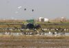 Alarma ambiental en l'Albufera valenciana