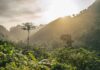 Deforestación en la Amazonía brasileña aumenta 9,1%