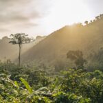 Deforestación en la Amazonía brasileña aumenta 9,1%