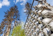 CO₂ en productos químicos con catalizadores sostenibles