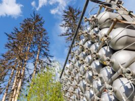 CO₂ en productos químicos con catalizadores sostenibles