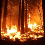 Incendios forestales en Canadá 2025: riesgos para la salud y calidad del aire