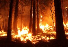 Incendios forestales en Canadá 2025: riesgos para la salud y calidad del aire