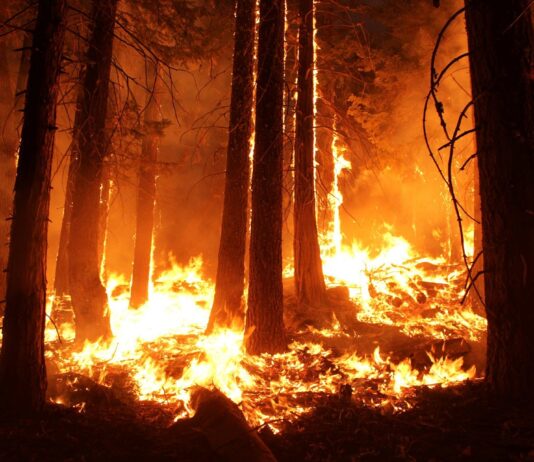 Incendios forestales en Canadá 2025: riesgos para la salud y calidad del aire