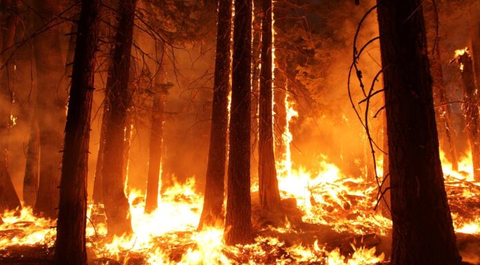 Incendios forestales en Canadá 2025: riesgos para la salud y calidad del aire