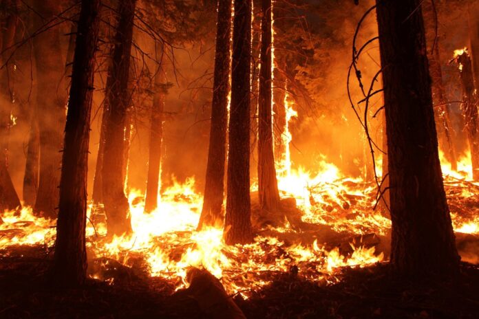 Incendios forestales en Canadá 2025: riesgos para la salud y calidad del aire Incendios forestales en Canadá 2025: riesgos para la salud y calidad del aire