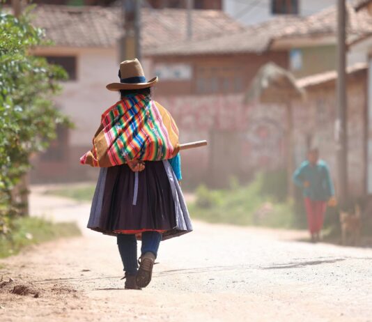Mujeres indígenas en acción