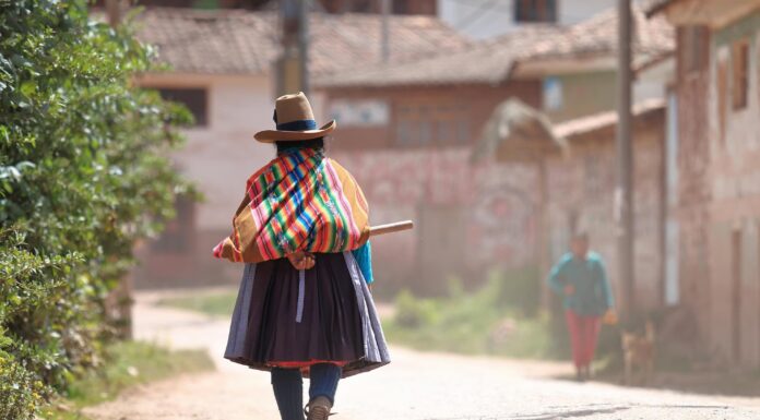Mujeres indígenas en acción