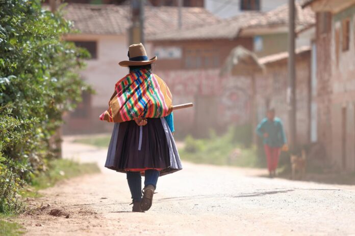 Mujeres indígenas en acción Mujeres indígenas en acción
