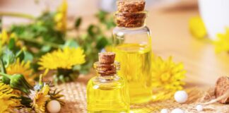 Perfumes veganos