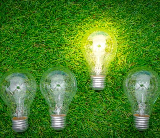 Retención de talento en el sector verde en España