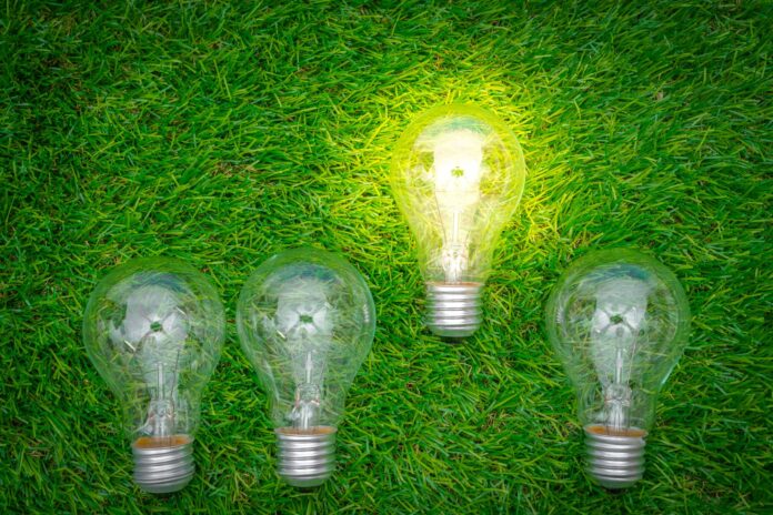 Retención de talento en el sector verde en España Retención de talento en el sector verde en España