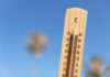 Olas de calor 2025