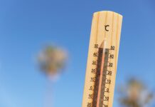 Olas de calor 2025