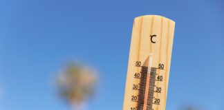 Olas de calor 2025