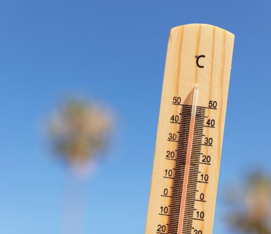 Olas de calor 2025