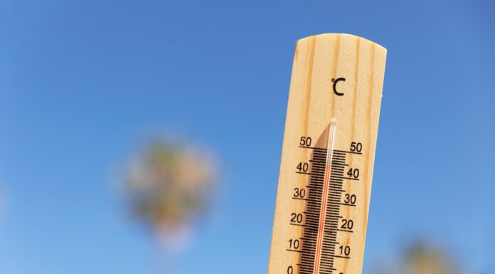 Olas de calor 2025