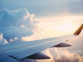 Vueling y microtau: la tecnología "Piel de tiburón"