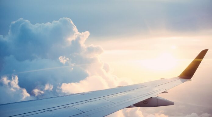 Vueling y microtau: la tecnología "Piel de tiburón"