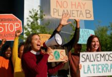 Activismo ambiental